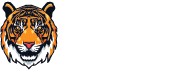 ranthambore national park tiger safari